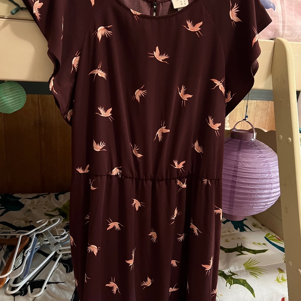 A New Day dress